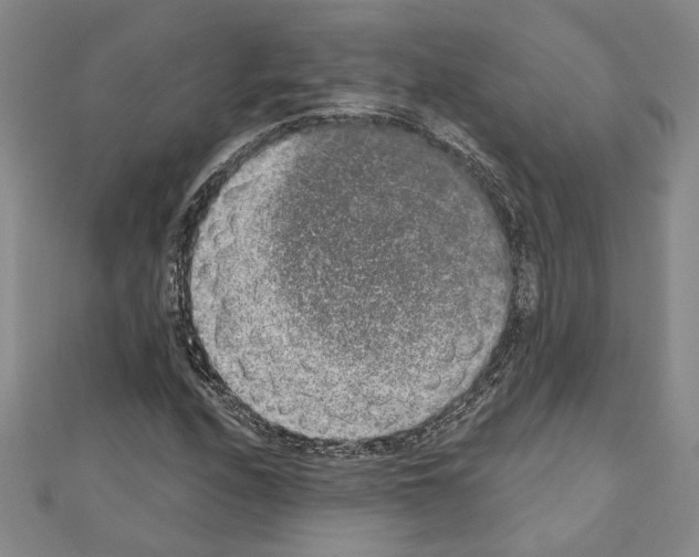 X0000110861208200907301345