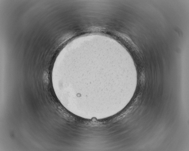 X0000110861209200907301345