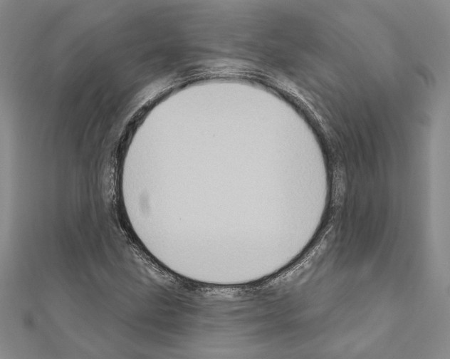 X0000110861211200907301345