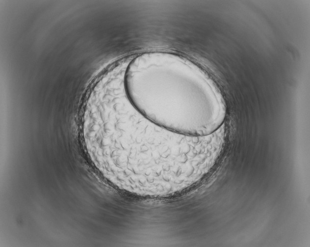 X0000110861212200907301345