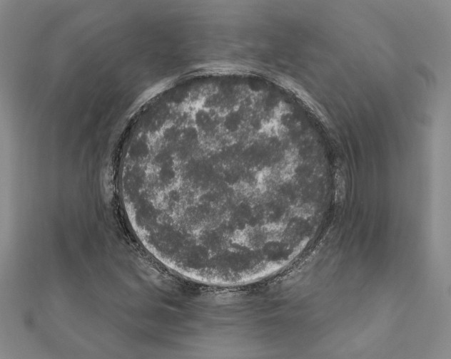 X0000110861213200907301345
