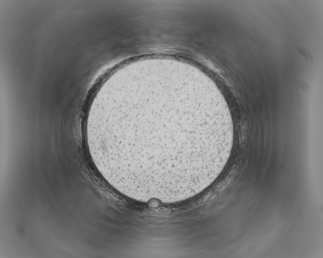 X0000110861214200907301345