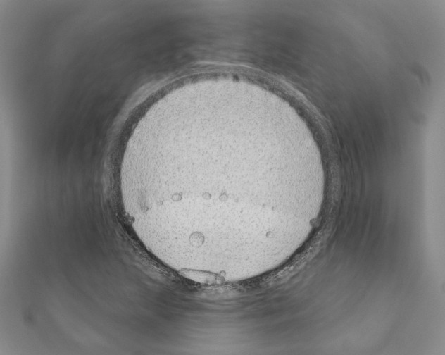 X0000110861215200907301345