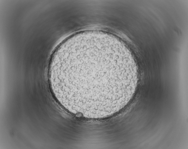 X0000110861216200907301345