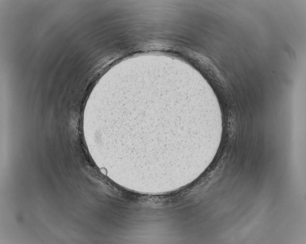 X0000110861217200907301345