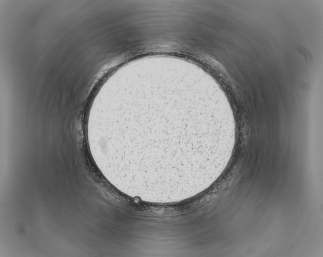 X0000110861218200907301345