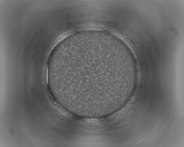 X0000110861219200907301345