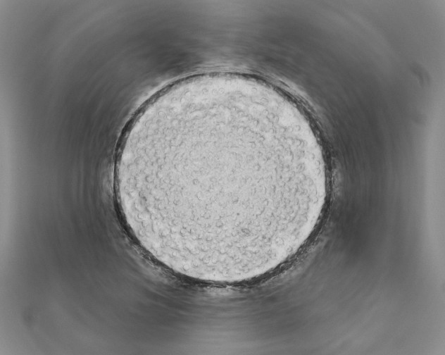 X0000110861220200907301345