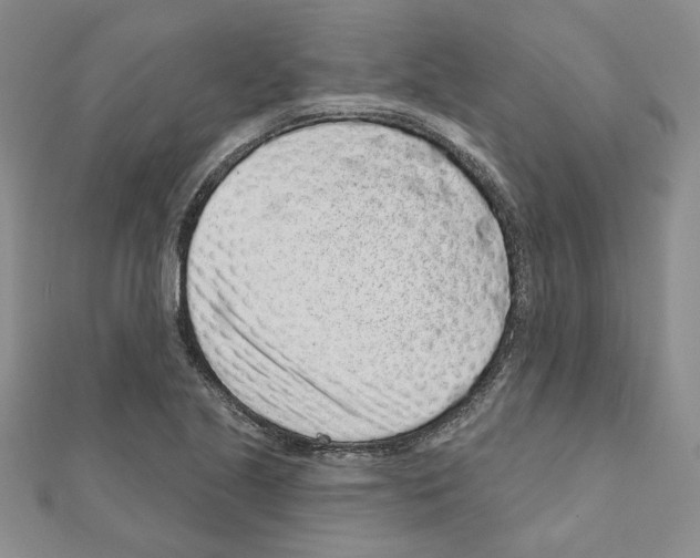 X0000110861221200907301345