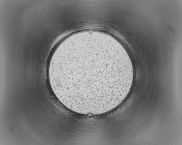 X0000110861222200907301345