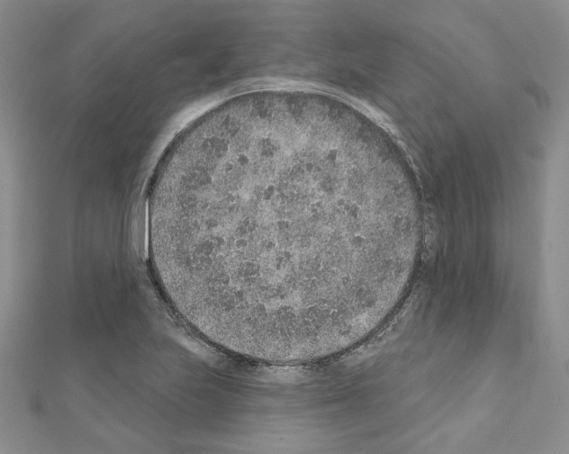 X0000110861223200907301345