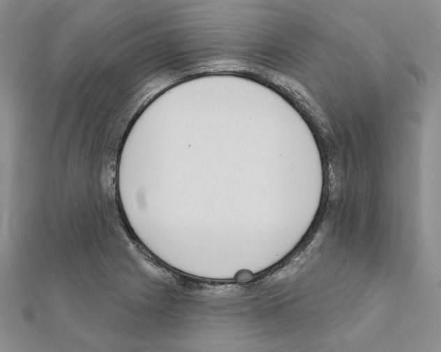 X0000110861225200907301345