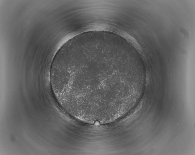 X0000110861226200907301345