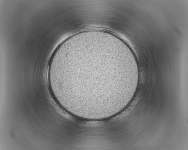 X0000110861227200907301345