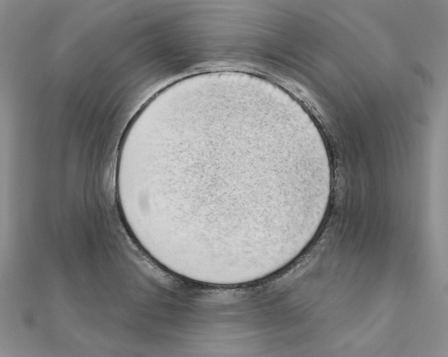 X0000110861228200907301345