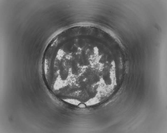 X0000110861229200907301345