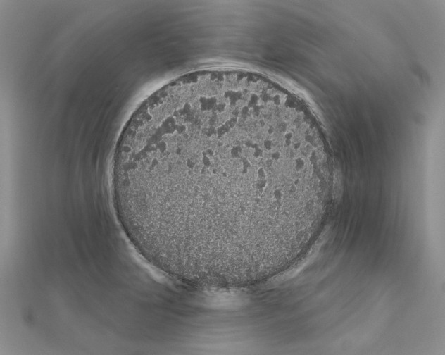 X0000110861231200907301345