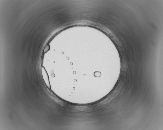 X0000110861232200907301345
