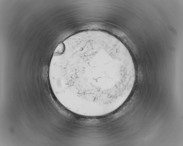 X0000110861233200907301345