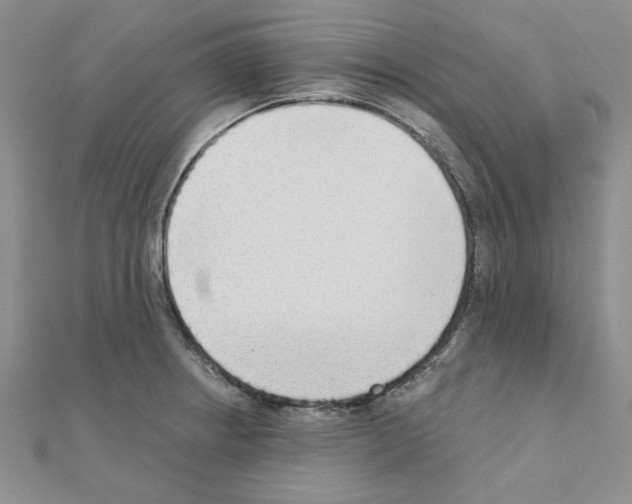 X0000110861234200907301345