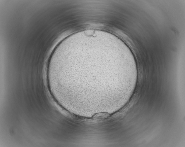 X0000110861235200907301345
