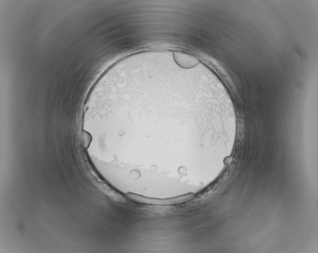 X0000110861236200907301345