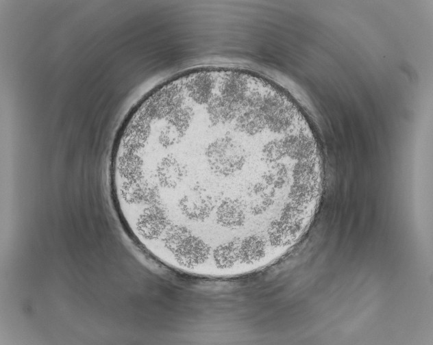 X0000110861237200907301345