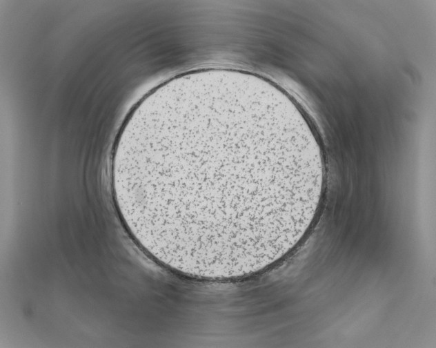 X0000110861238200907301345