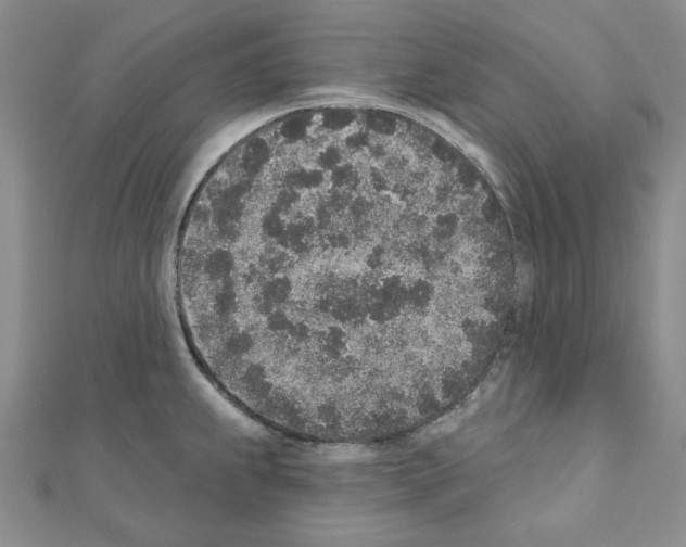 X0000110861239200907301345