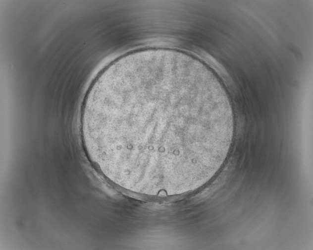 X0000110861240200907301345