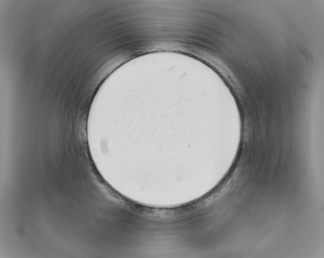 X0000110861241200907301345