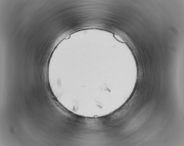 X0000110861242200907301345
