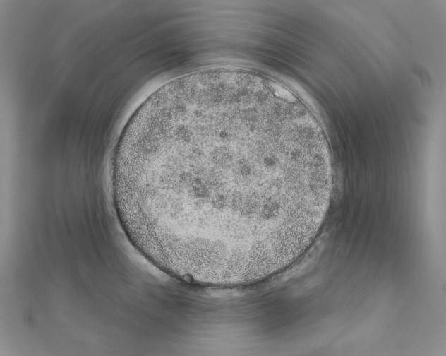 X0000110861243200907301345