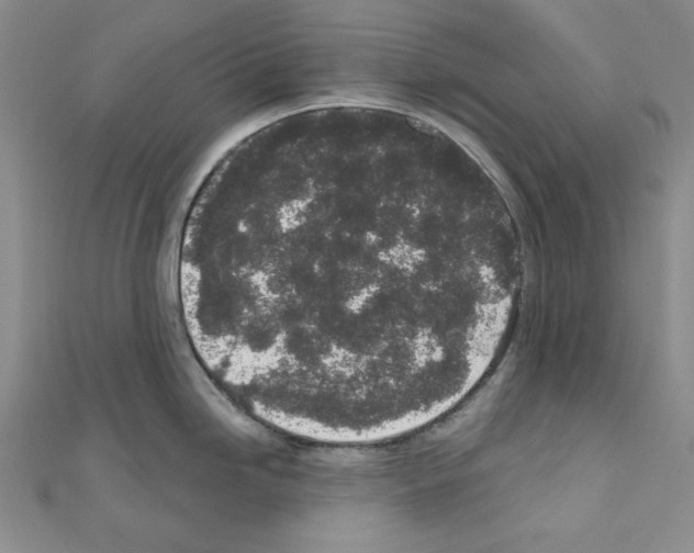 X0000110861246200907301345