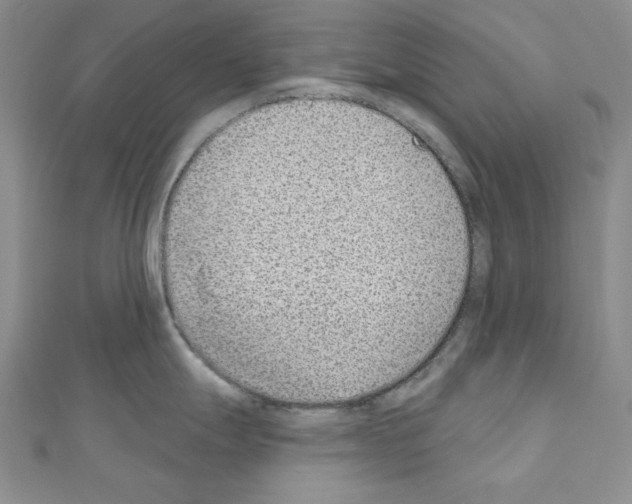 X0000110861247200907301345