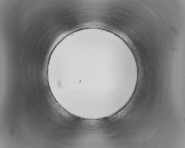 X0000110861248200907301345