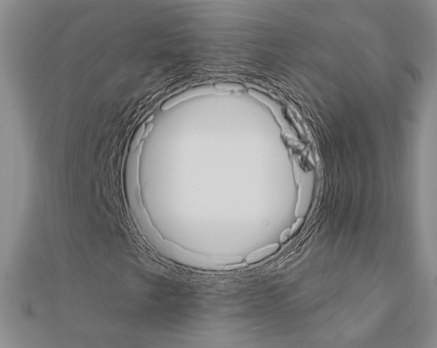 X0000110861249200907301345