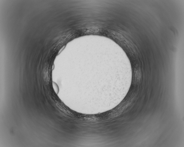 X0000110861250200907301345
