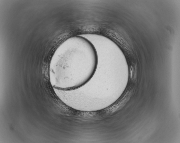 X0000110861251200907301345