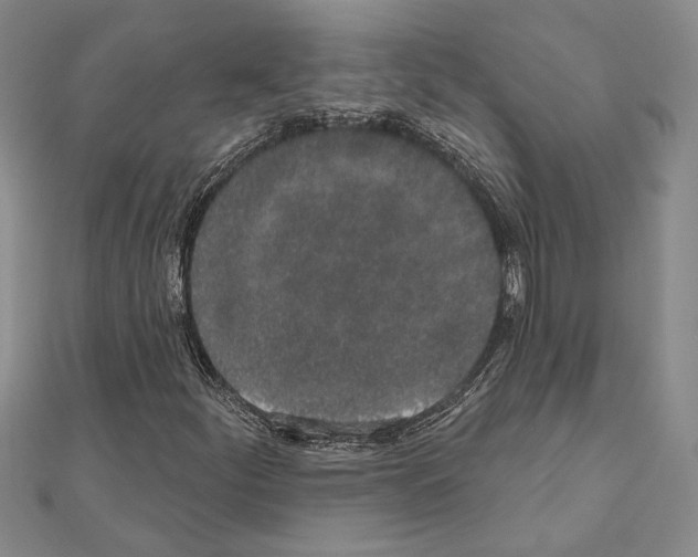 X0000110861252200907301345