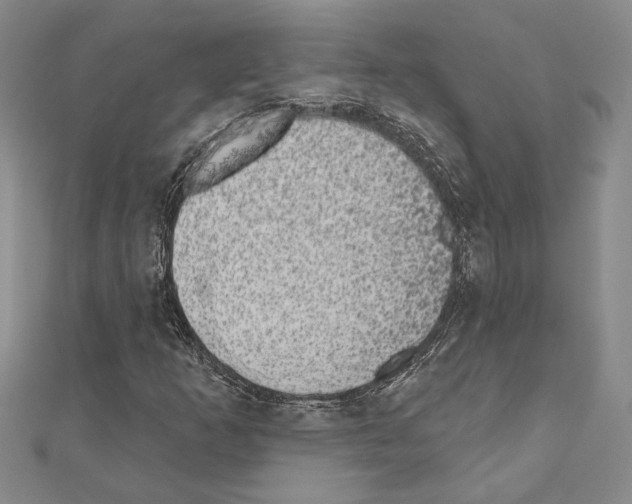 X0000110861253200907301345
