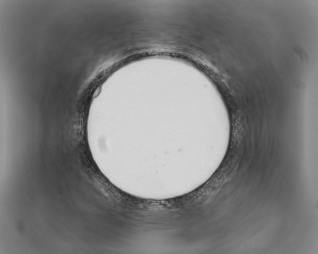 X0000110861255200907301345