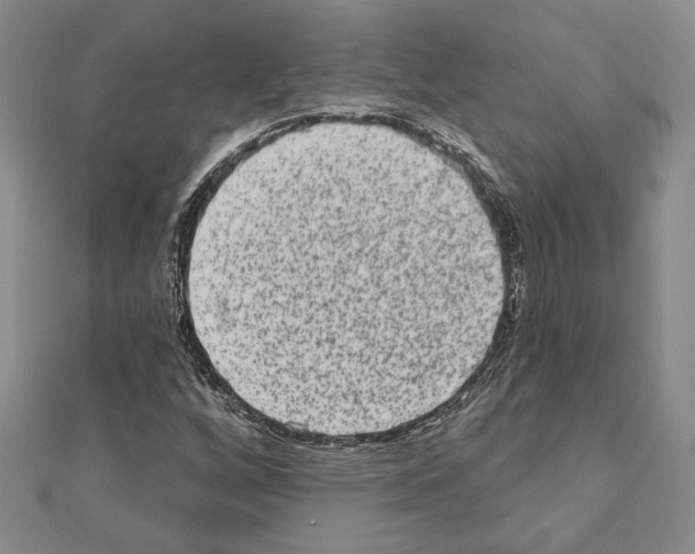X0000110861256200907301345