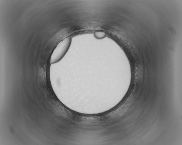 X0000110861257200907301345