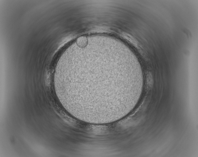 X0000110861258200907301345