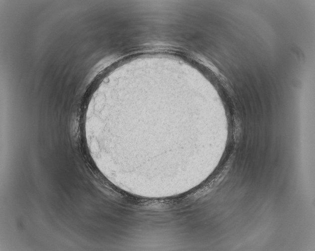 X0000110861259200907301345