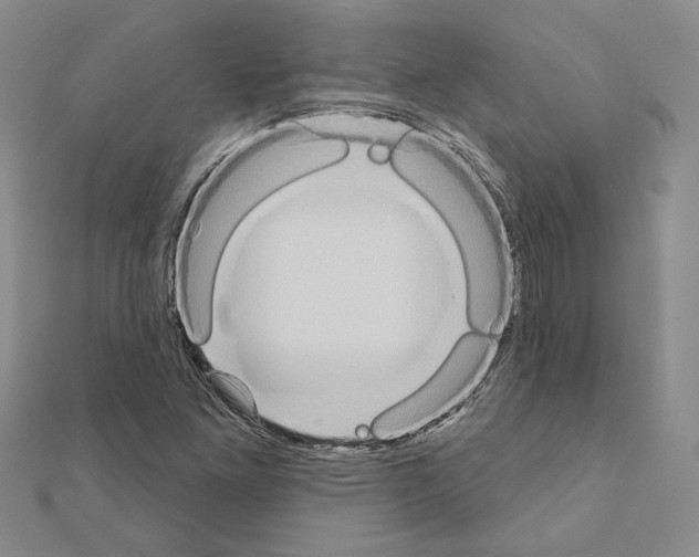 X0000110861261200907301345
