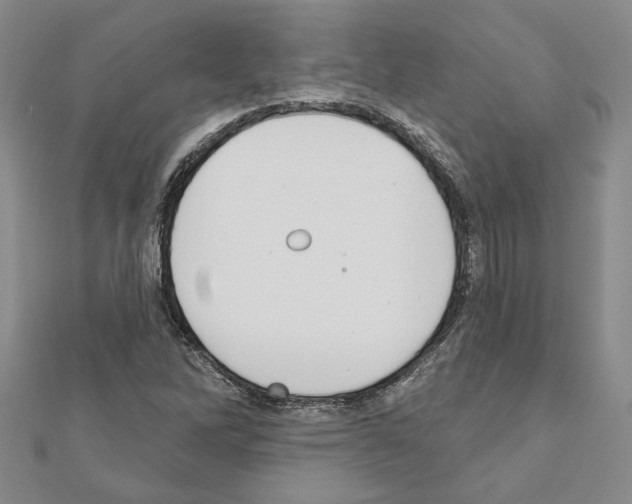X0000110861262200907301345