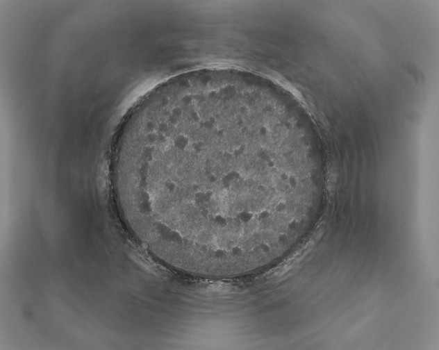 X0000110861263200907301345