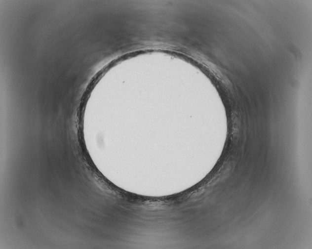 X0000110861264200907301345